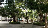 府中路與文化路街角廣場改善後照片(府中路側)