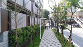 府中行政園區文化路人行空間改善後照片