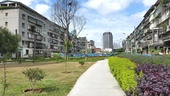 中和區莒光路綠家園現況