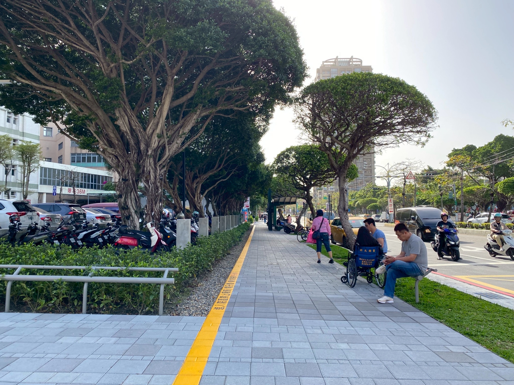 從老街廓到新綠洲 三重行政園區計畫打造2公頃城市綠洲