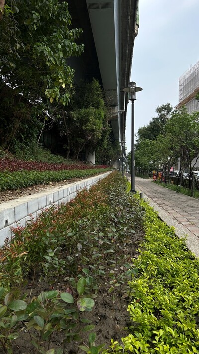 三重區格致中學旁綠家園基地綠美化成果