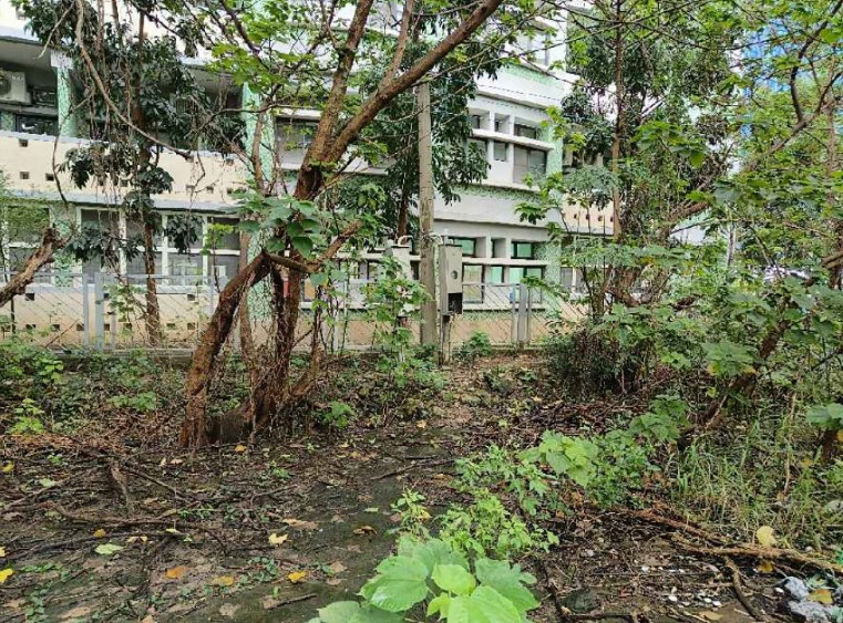 綠蔭伴書聲，幸福在新北