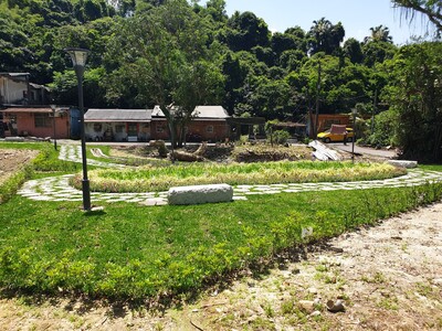 瑞芳區逢甲路237號旁綠家園基地綠美化成果