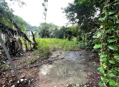 瑞芳區逢甲路237號旁綠家園基地綠美化前