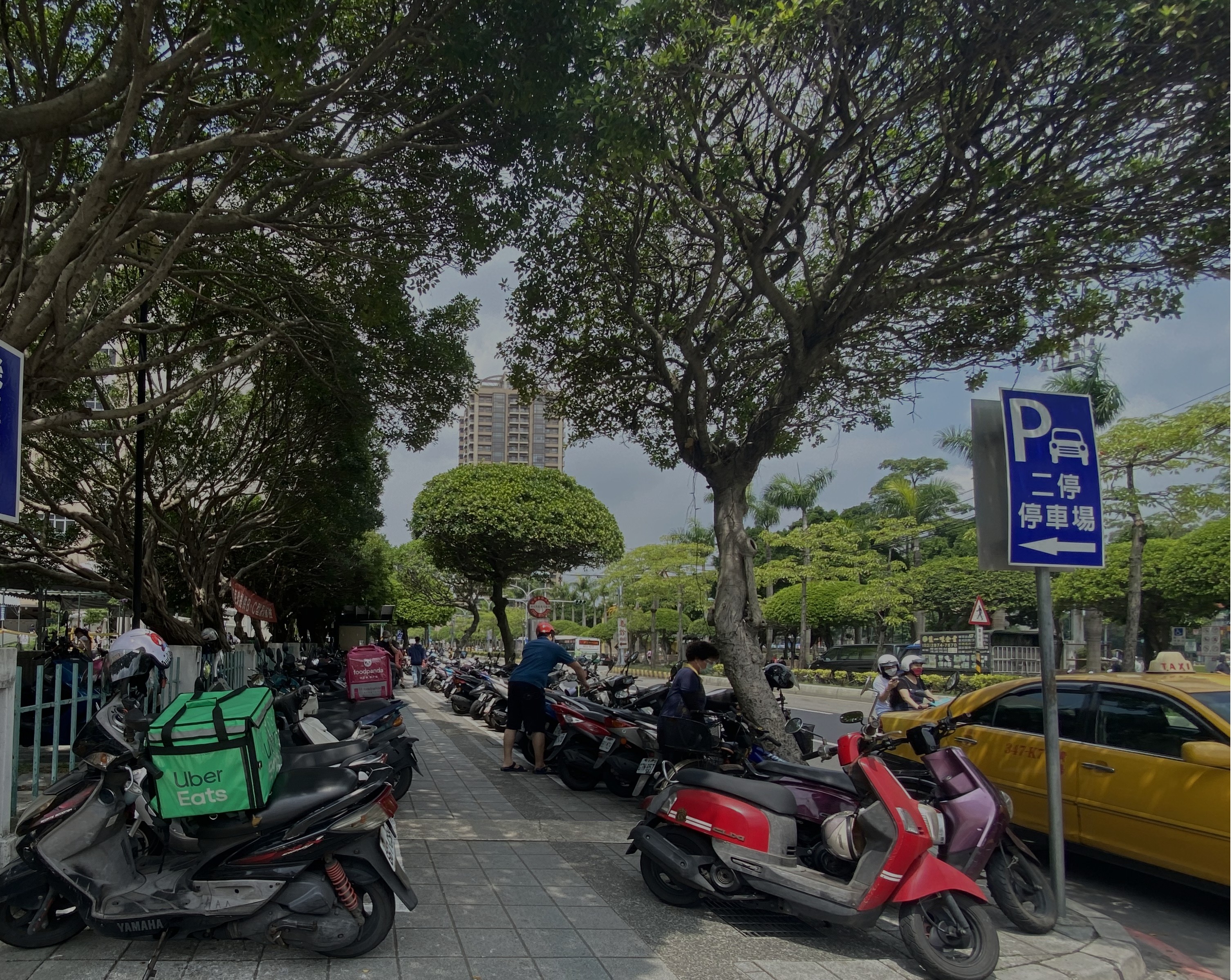 新北「與風同行。沁涼綠洲」展現奪獎實力 三重公共服務園區實現全齡無礙共融新典範