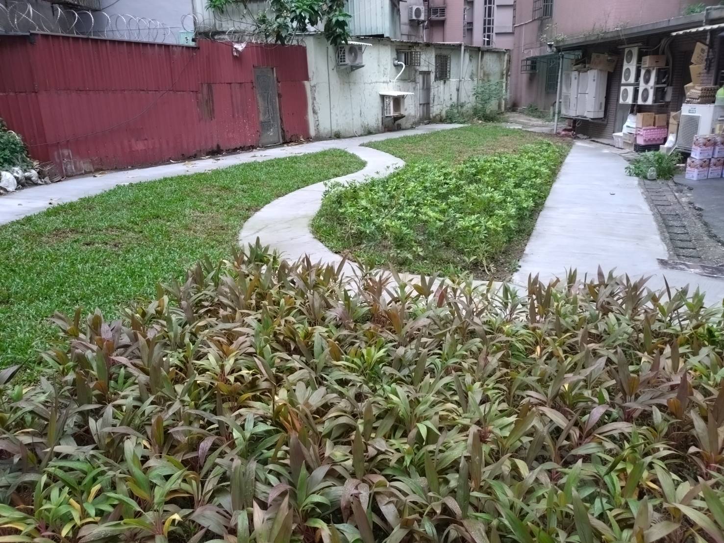 新北綠家園15年，翻轉零碎空間成為城市小綠洲