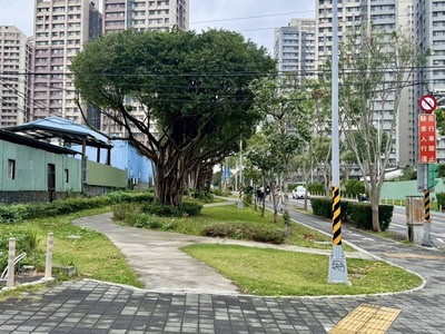 板橋區合安一路和板城路交叉路口綠家園基地綠美化成果(街角廣場型)