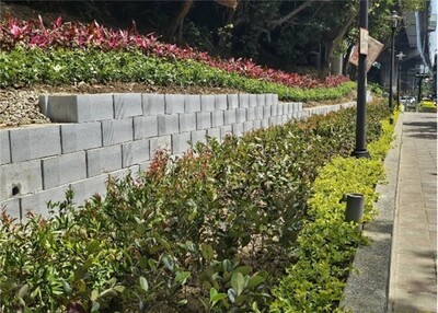 三重區格致中學東側旁邊坡綠家園基地綠美化成果(帶狀隔離型)