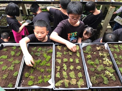 舉辦苔美工作坊，讓孩童看見平溪的苔蘚之美，也更了解家鄉